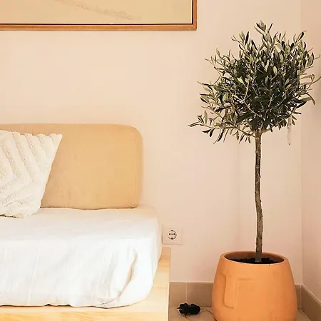 דירה My Terrace טאווירה